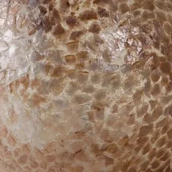 Beach tafellamp schelpen bol woonkamer><noscript><img width=