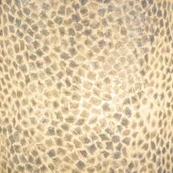 Botanische tafellamp cilinder met capiz schelpen wit></noscript>Straluma Sale