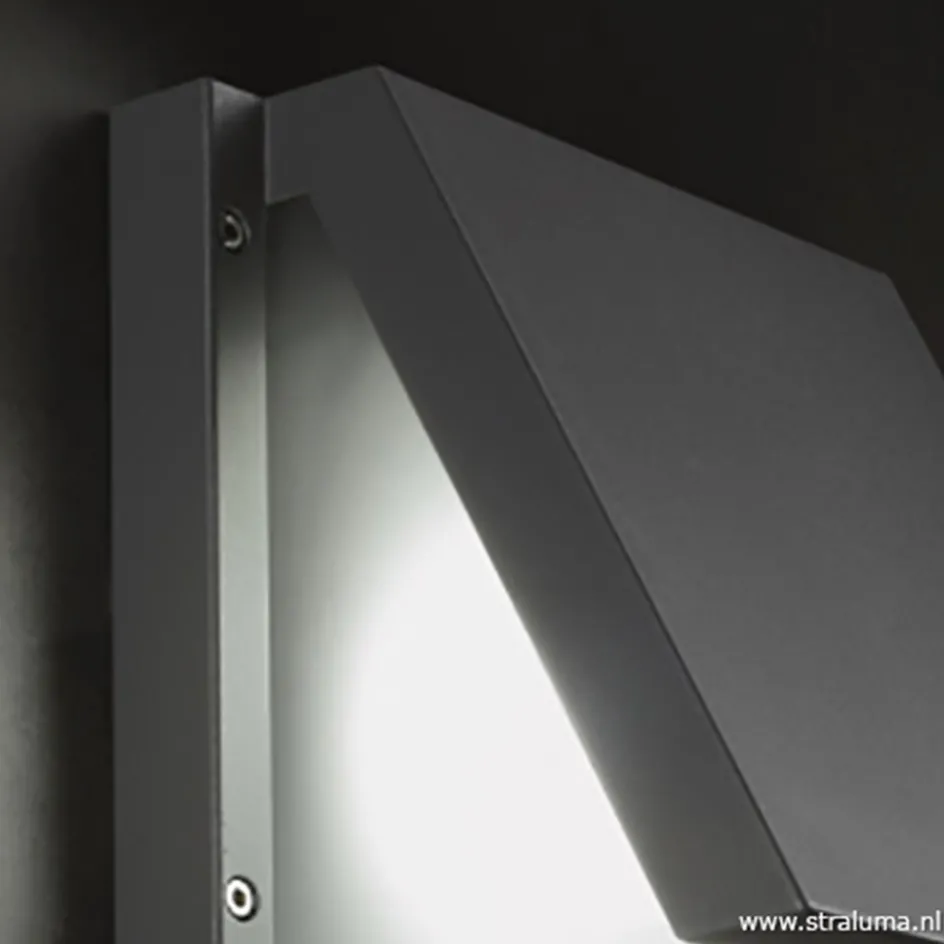 Buitenlamp wandlamp antraciet IP54>Straluma Online