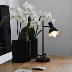 Calex Smart Home E14 LED filament helder kaars></noscript>Straluma Outlet