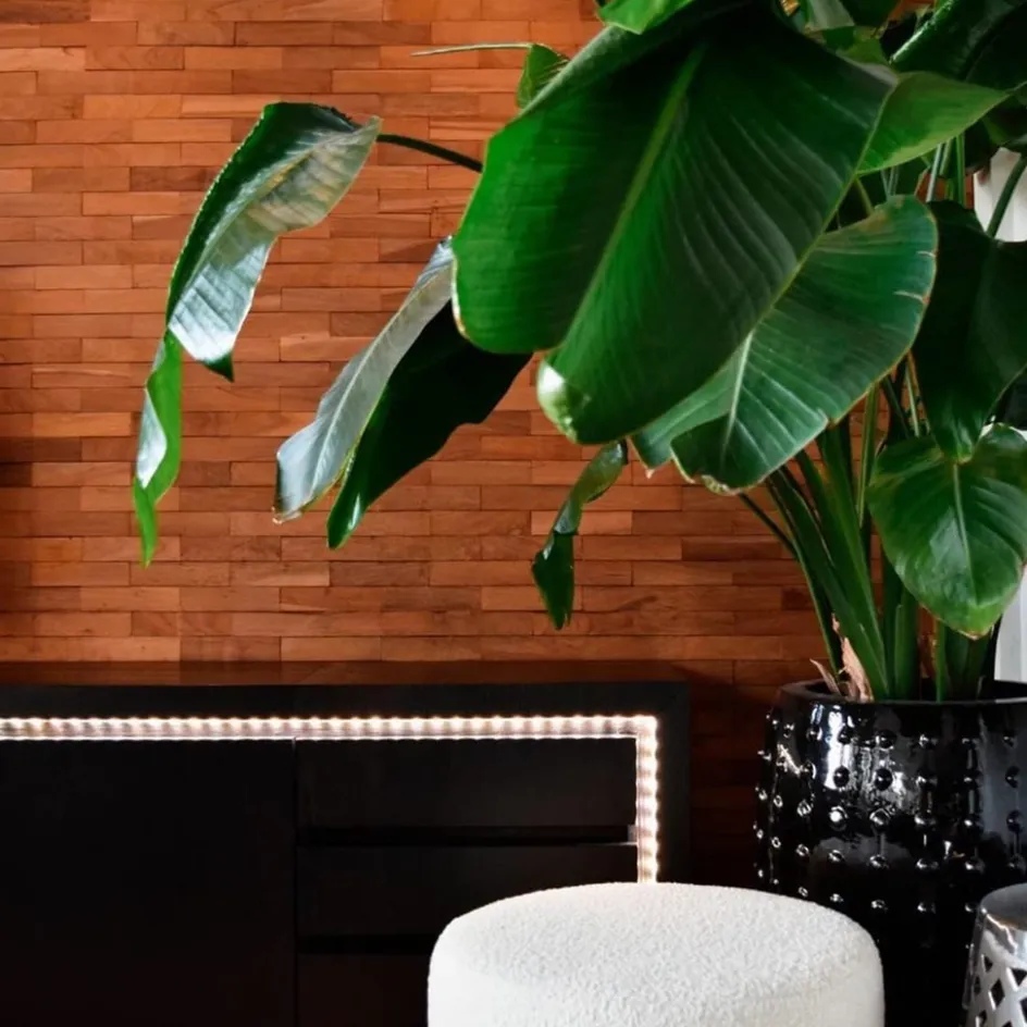 Calex Smart LED strip RGB + CCT 5 meter>Straluma