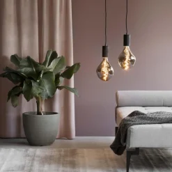 Calex Smart XXL Organic EVO Titanium></noscript>Straluma Best