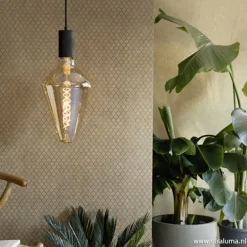 Calex Vienna led gold 4w e27></noscript>Straluma Clearance