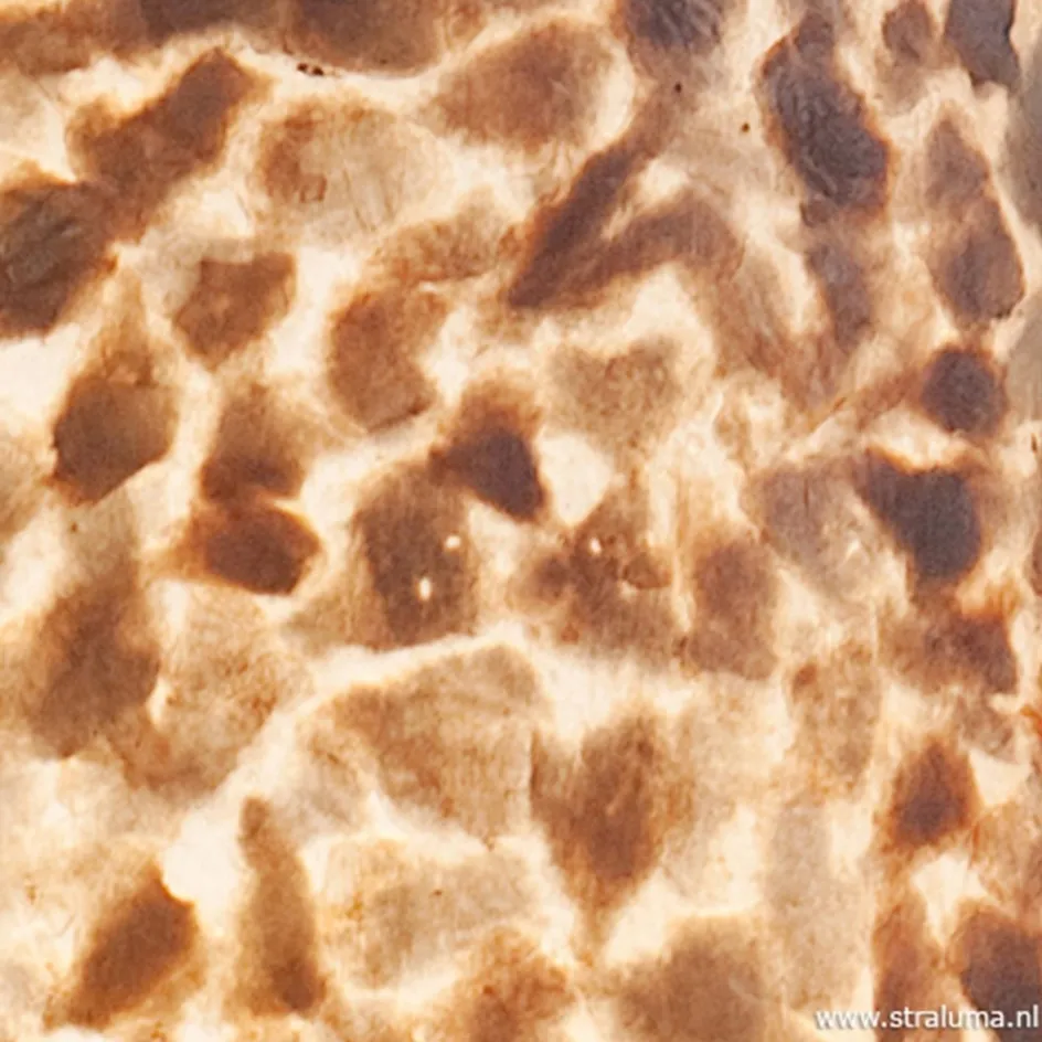 Capiz cilinderlamp schelpen 150cm>Straluma Discount