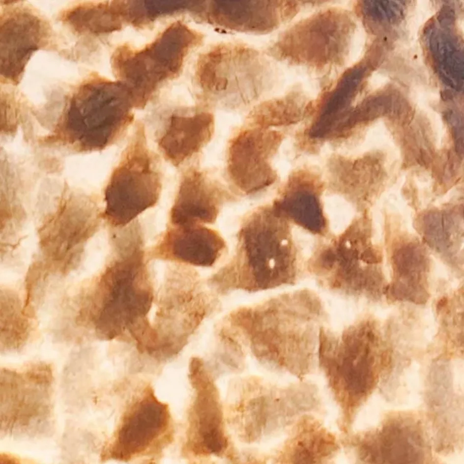 Driepoot schelpen vloerlamp zwart met bruin en goud>Straluma