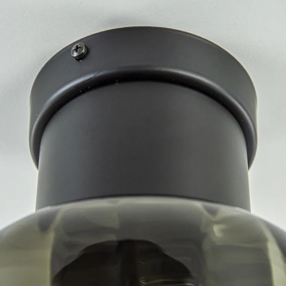 Grote plafondlamp smoke glas met mat zwart>Straluma Sale