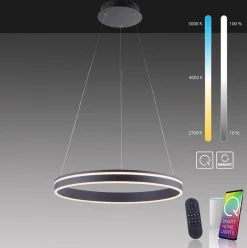 Hanglamp zwart ring 60cm + afst.bed.CCT><noscript><img width=