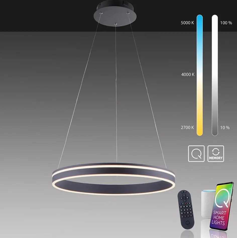 Hanglamp zwart ring 60cm + afst.bed.CCT>Straluma Sale