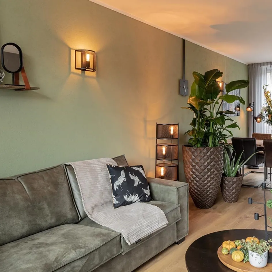 Industrieel landelijke wandlamp met gaas>Straluma