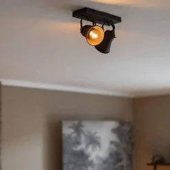 Industriële 2-lichts plafondspot mat zwart><noscript><img width=