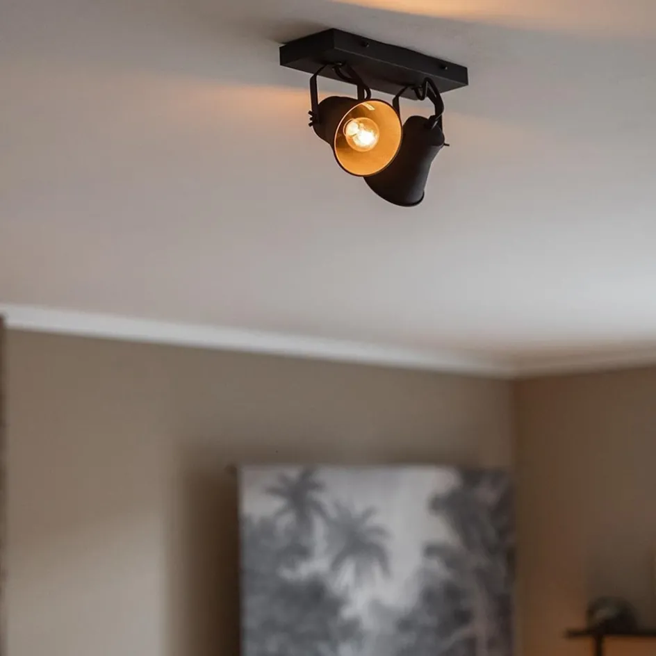 Industriële 2-lichts plafondspot mat zwart>Straluma New