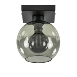 Kleine plafondlamp zwart met smoke glas 20 cm>Straluma Hot