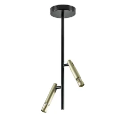 Landelijke plafondlamp zwart met goud G9>Straluma