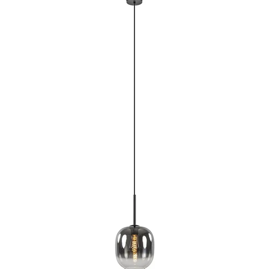 1-Lichts hanglamp zwart met smoke/helder glas>Straluma Best