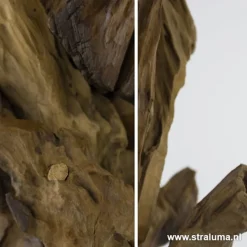 Light & Living lampvoet hout + zwart><noscript><img width=