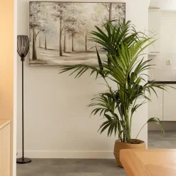 Moderne staande lamp met draad kap mat zwart></noscript>Straluma Clearance