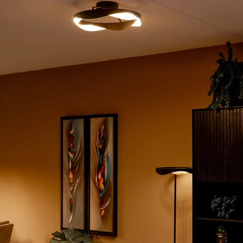 Plafondlamp Ascoli ring zwart/matgoud>Straluma Online