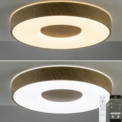 Plafondlamp Coin 50 hout + remote CCT><noscript><img width=
