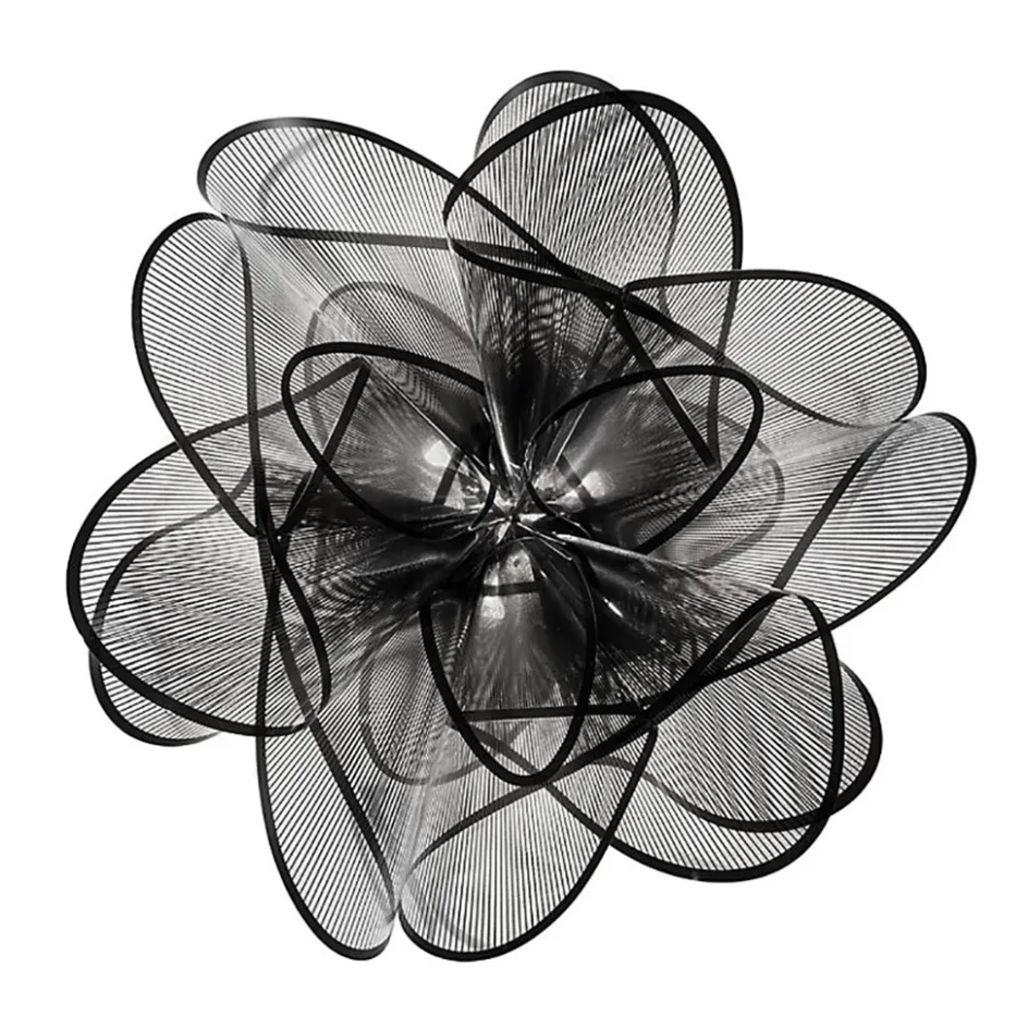 Plafondlamp La Belle Etoile zwart>Straluma Hot