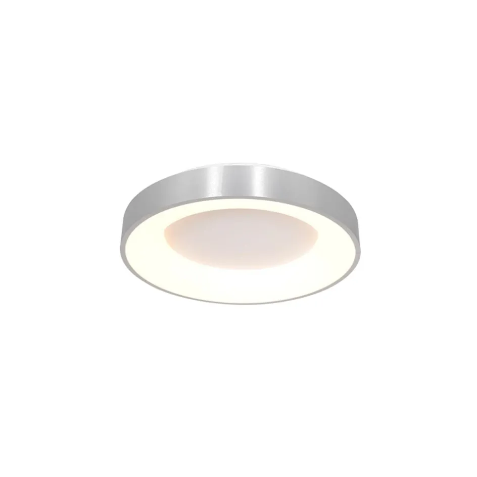 Plafondlamp Ringlede 30cm rvs led>Straluma Online