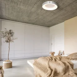 Plafondlamp Ringlede 30cm rvs led><noscript><img width=