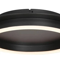 Plafondlamp Ringlux zwart><noscript><img width=