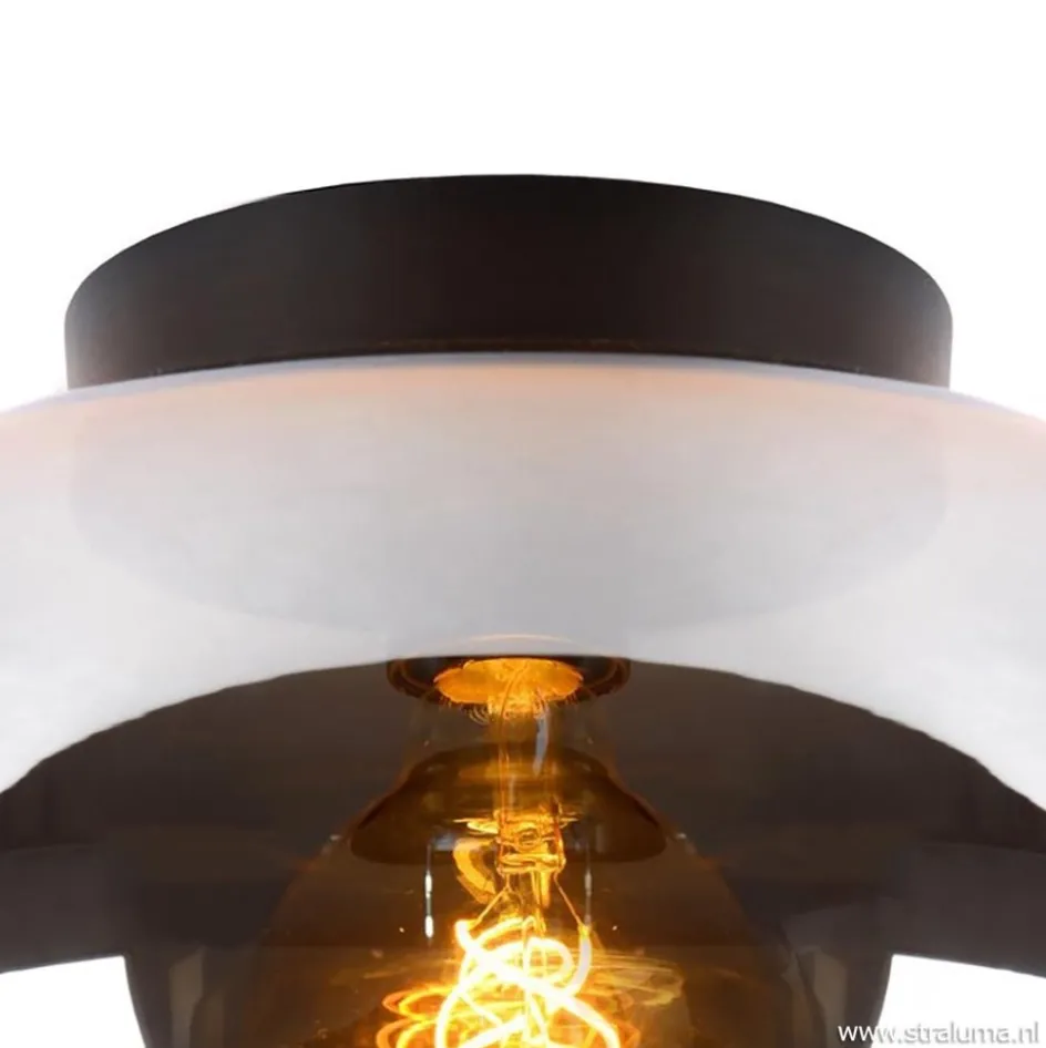 Plafondlamp zwart met smoke glas>Straluma Clearance