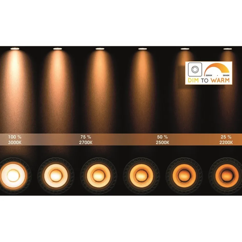 Plafondspot cilinder wit dim to warm>Straluma Outlet