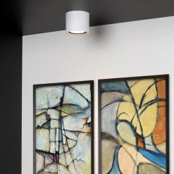 Plafondspot cilinder wit dim to warm><noscript><img width=