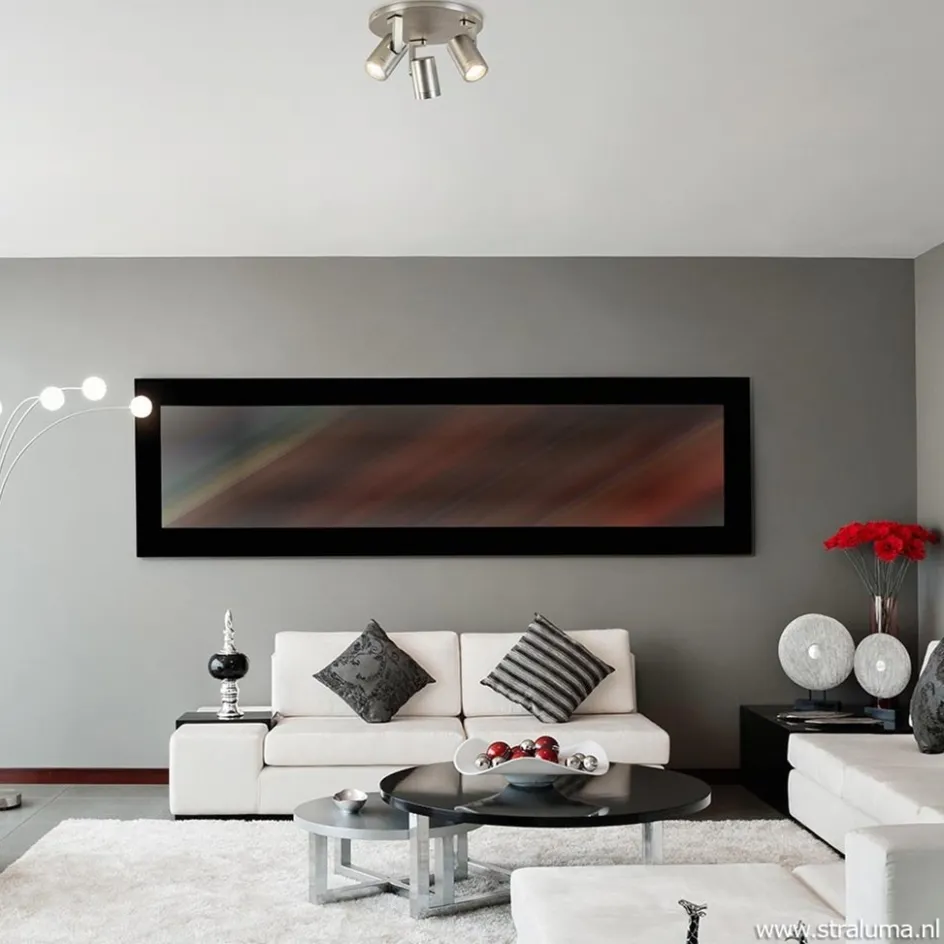 Plafondspot Halo 3L rond rvs>Straluma Discount