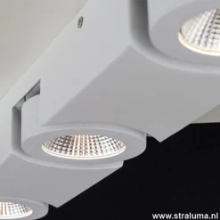 Plafondspot Montreal 3L balk wit 3000k></noscript>Straluma Discount