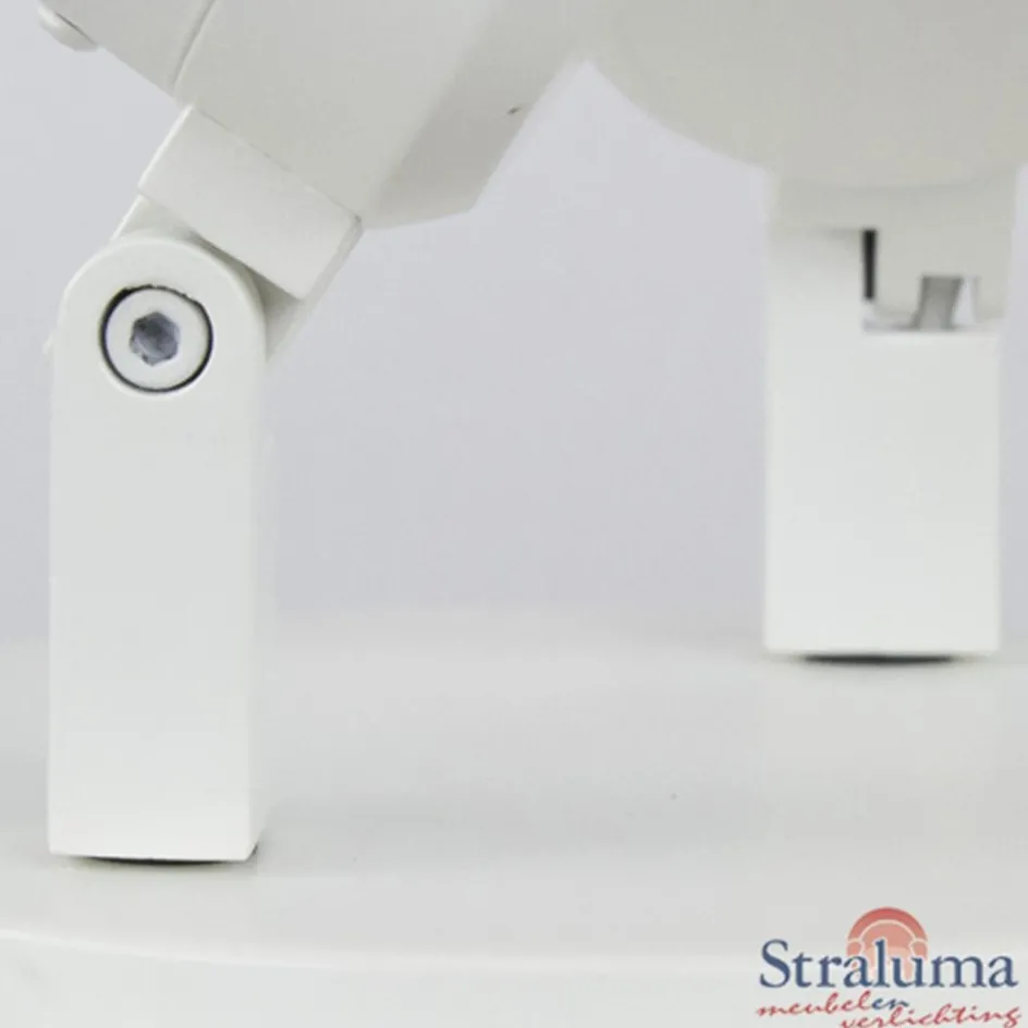 Plafondspot Rain 2L rond wit gu10 IP44>Straluma New