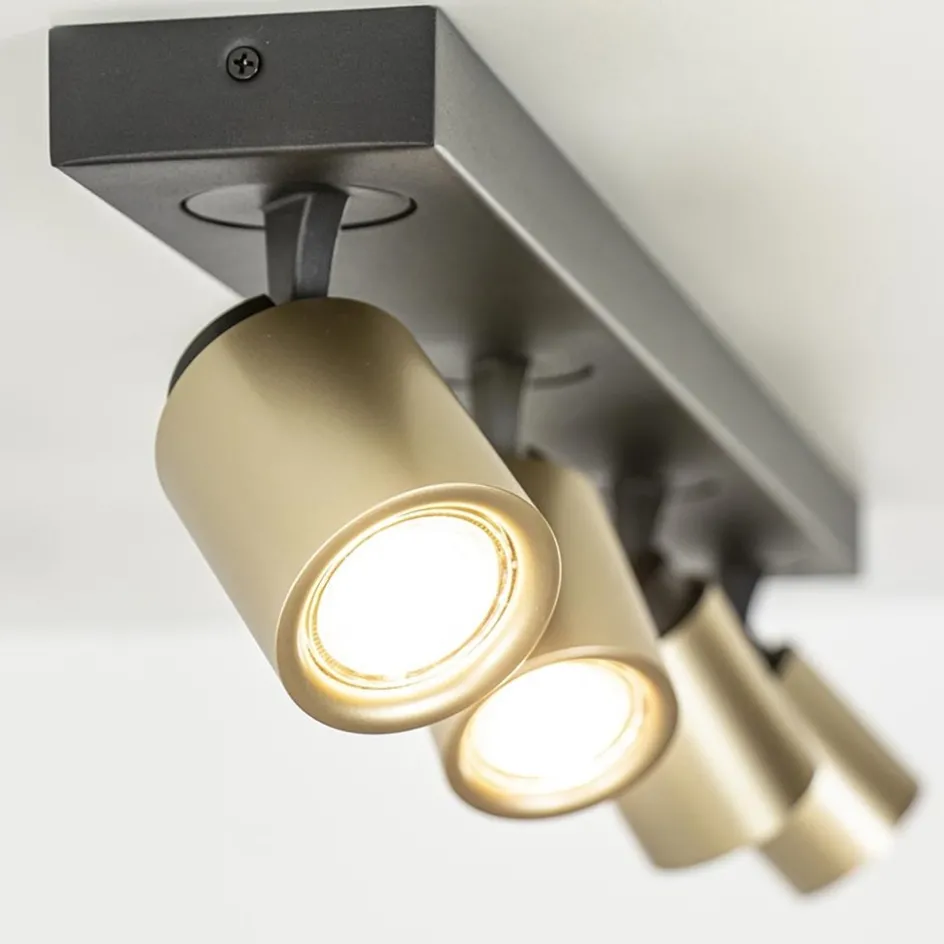 Plafondspot Razza 4L balk zwart/matgoud>Straluma Outlet