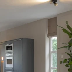 Plafondspot Razza 2L rond zwart/goud><noscript><img width=