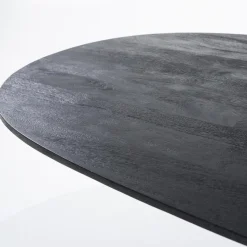 Robuuste mango houten eettafel Aron ovaal zwart><noscript><img width=