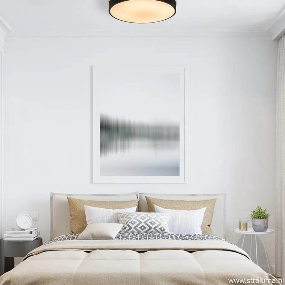 Ronde plafondlamp zwart inclusief LED en remote>Straluma Hot