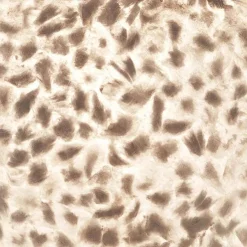 Ronde schelpen hanglamp wit/parelmoer 50 cm><noscript><img width=