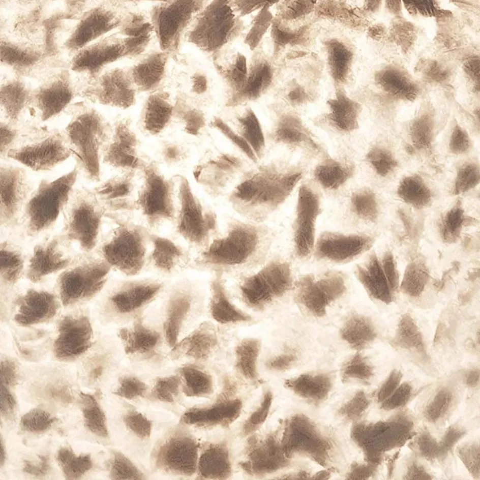 Ronde schelpen hanglamp wit/parelmoer 50 cm>Straluma Hot