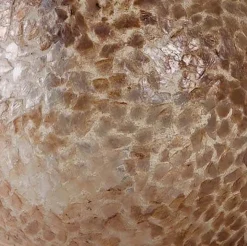 Schelpen tafellamp bol 40 cm creme-goud></noscript>Straluma Sale