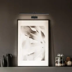 Schilderijlamp Litho zwart 60cm+dim.cct><noscript><img width=