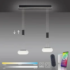 Smart hanglamp 2-lichts mat zwart met opaal glas dimbaar>Straluma