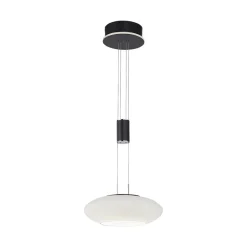 Smart hanglamp mat zwart met opaal glazen kap>Straluma Clearance