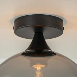Smoke/titanium plafondlamp 25 cm met zwart><noscript><img width=