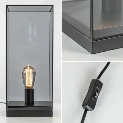 Tafellamp Askjer mat zwart met smoke glas></noscript>Straluma