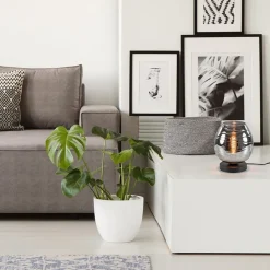 Tafellamp Fantasy laag zwart + smoke glas><noscript><img width=