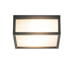 Vierkante buitenlamp dark grey plafond/wand></noscript>Straluma Sale