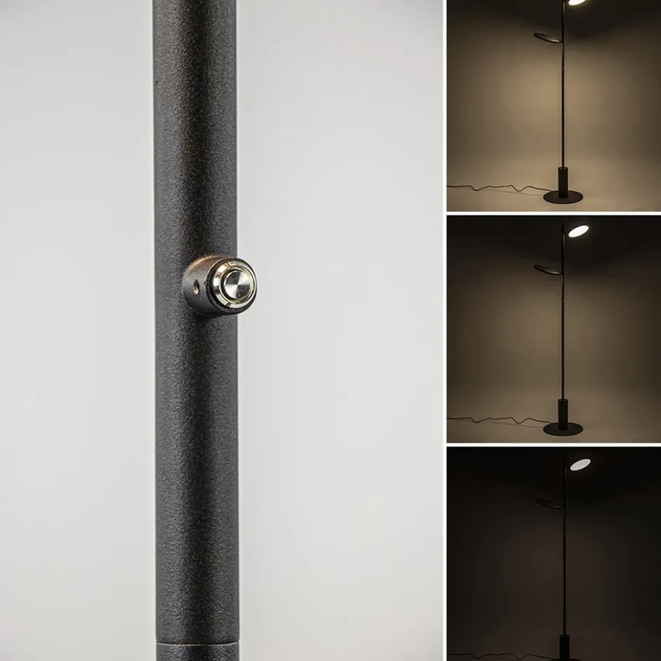 Vloerlamp 2-lichts zwart inclusief 3-standen dimbaar LED>Straluma Best