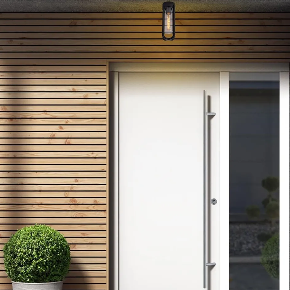 Zwarte buitenlamp plafond IP44>Straluma Online