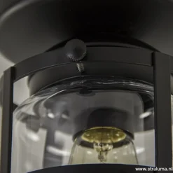 Zwarte Kooi- plafondlamp met glas></noscript>Straluma Outlet